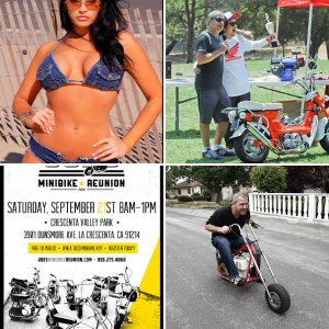 Joe's Mini Bike Reunion