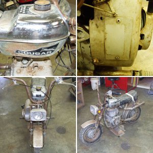 POWERDYNE COUGAR