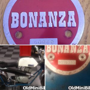 Bonanza Badge Project