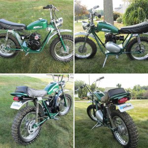 Speedway Green Horn