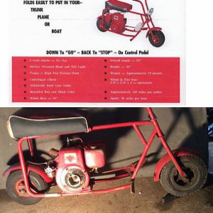 Dumb and dumber mini