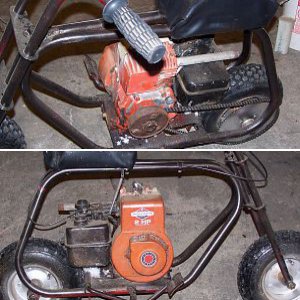 My First Cat, What is it?