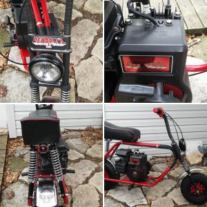 Cat DEADPOOL theam mini