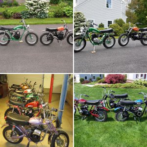 Group Shots