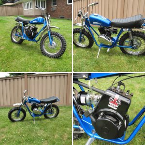 speedway blue angel