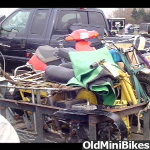 A1 show bikes for sale