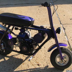 Purple Cyclops