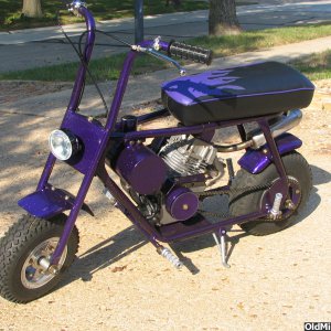 Purple Cyclops