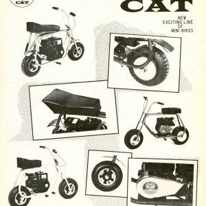 HPE Muskin Cat 1969