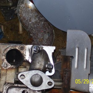flathead