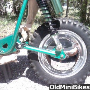 speedway scorpion