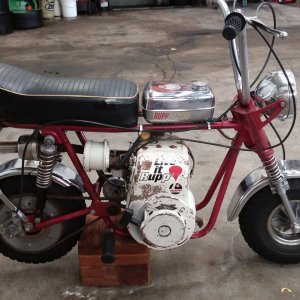 Rupp TT500 Survivor