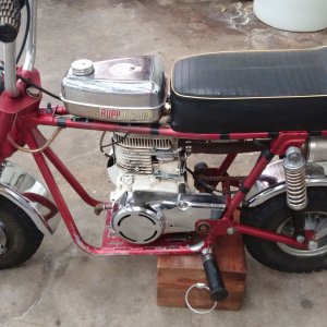 Rupp TT500 Survivor
