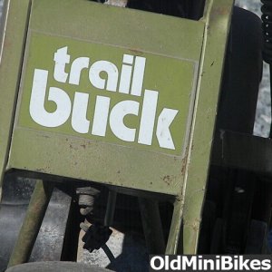 Trail Buck