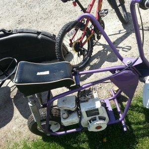 Purple_mini_bike