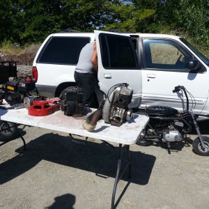 show_24