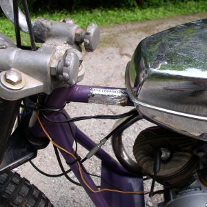 P10100049