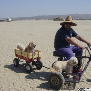 meyers lynx w/ side car