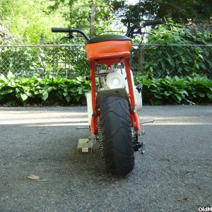 Fox_Mini_Bike_0022