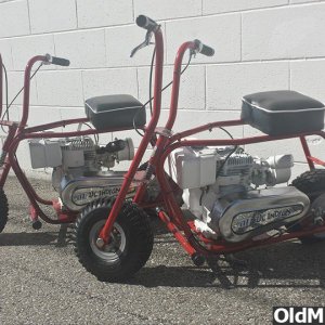 1907846_760301334015671_645053829334413264_n