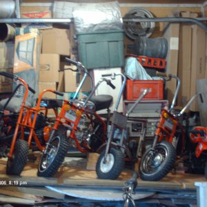 Most of my Mini's