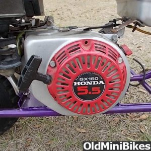 Stellar Minibike for Sale