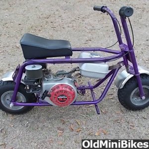 Stellar Minibike for Sale