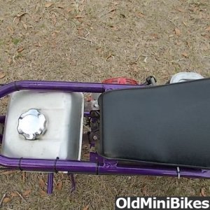 Stellar Minibike for Sale