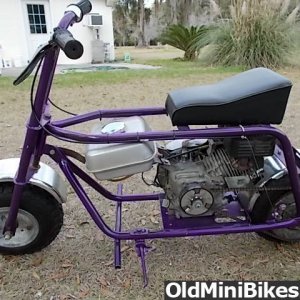 Stellar Minibike for Sale