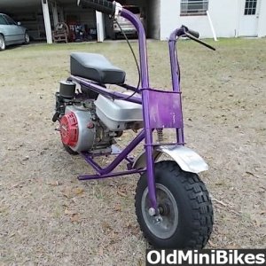 Stellar Minibike for Sale