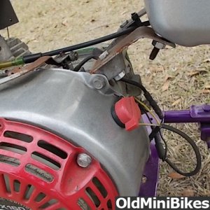 Stellar Minibike for Sale