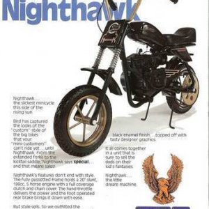 NIghthawk Flyer