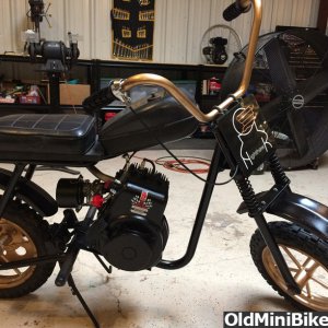 Bird Nighthawk after being restored