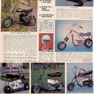 72_trail_cat_ad
