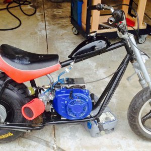 Baja Warrior