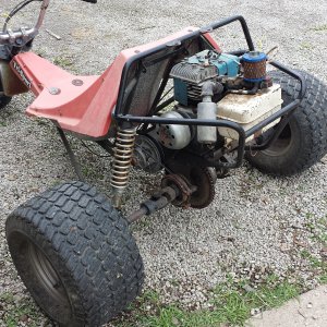 alsport rts