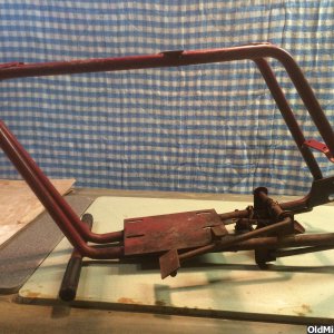 Phoenix Engineering Bird