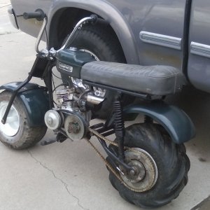 Bird Terra Torque