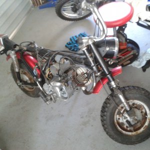 getting ready for tidy up