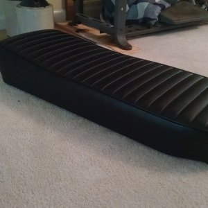 harrison_wild_cat_seat