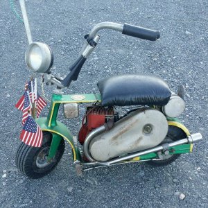 Shriner Skat Kitty