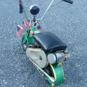 Shriner Skat Kitty