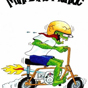 Mini Bike Maniac Golden Pinto
