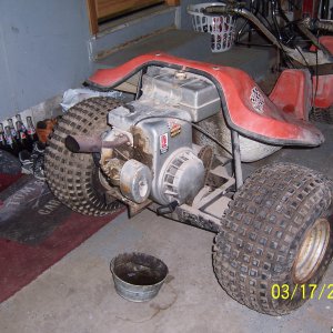 Allsport Model TS _ 8HP
