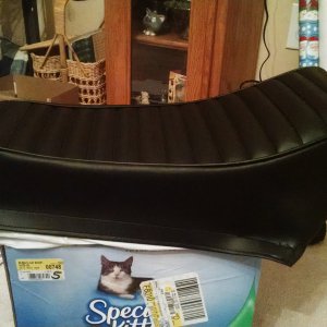 speedway_seat_cover_for_chad