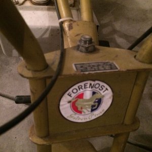 Foremost Golden Pinto