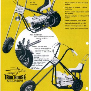 trail_horse11