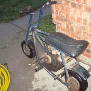 Picture_0351