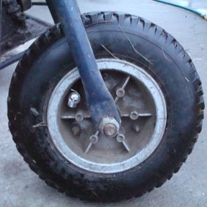 Picture_0374