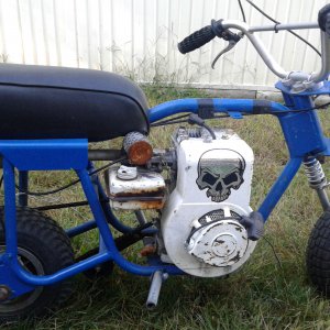 Minibike type